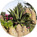 Gérard BESRET profile picture